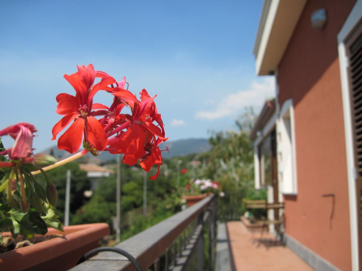 Anthea Dell' Etna Bed and Breakfast Santa Venerina Buitenkant foto